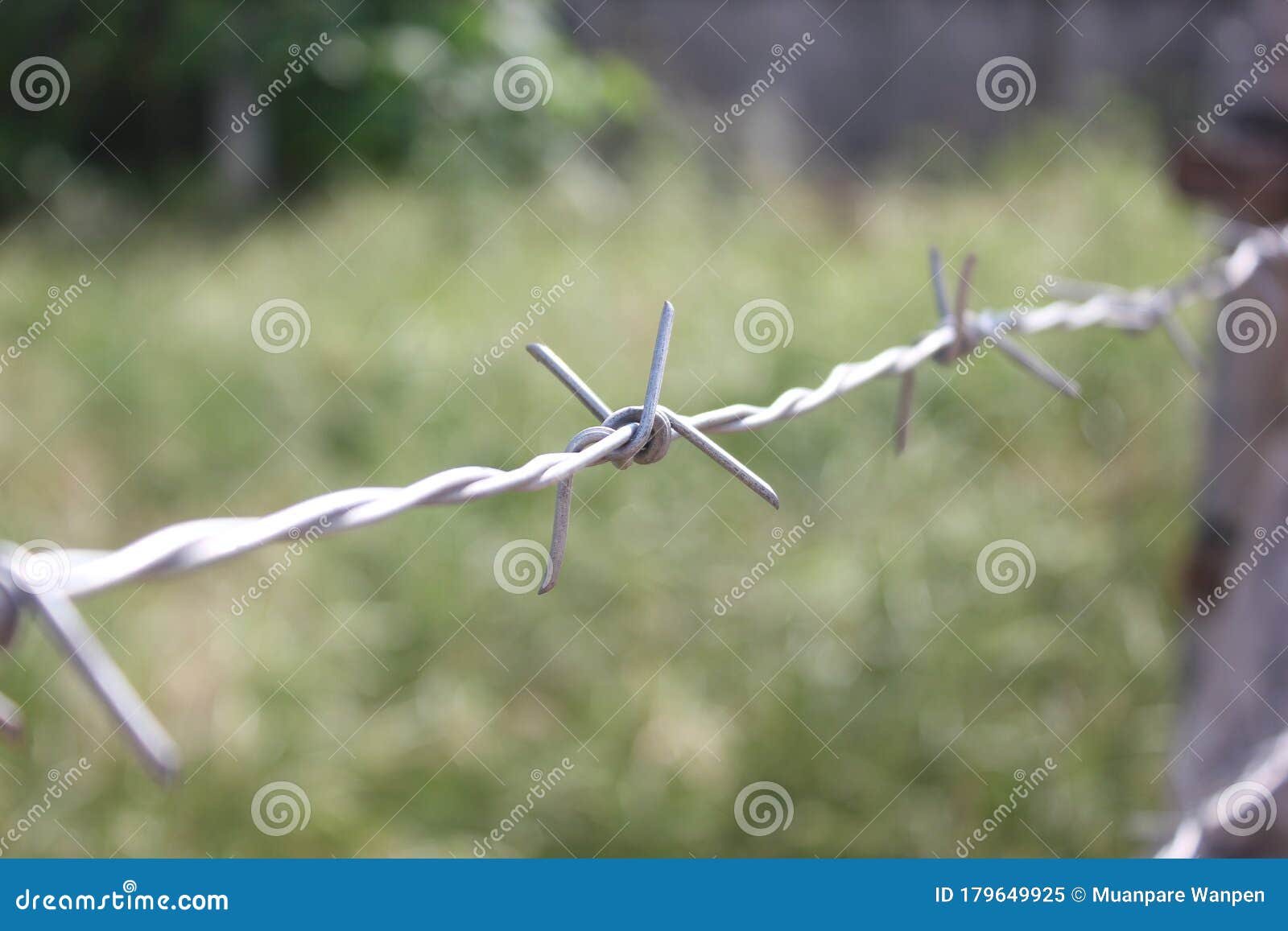 closeupÃ¢â¬â¹ steel fenceÃ¢â¬â¹ andÃ¢â¬â¹ greenÃ¢â¬â¹ blurÃ¢â¬â¹ background.